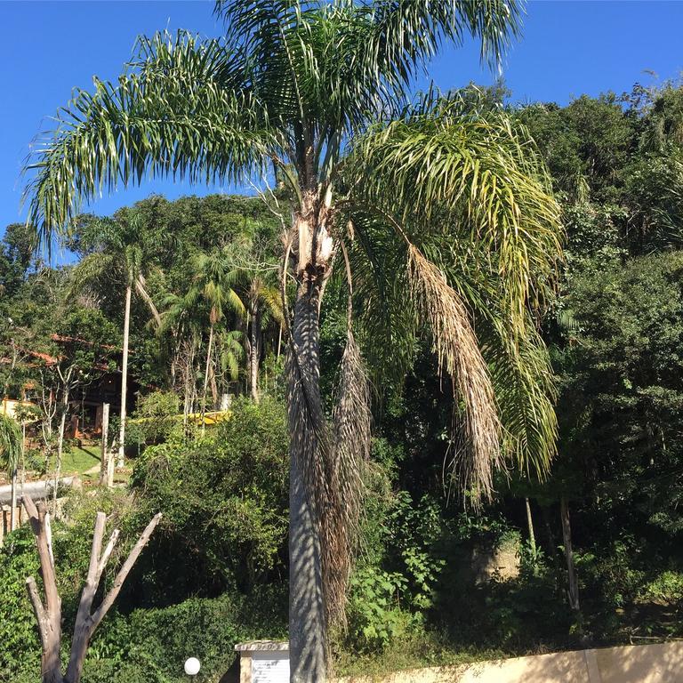 Hotel Casa Figueira Na Pedra Florianópolis Exteriér fotografie